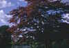 EK_0003.JPG