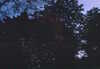EK_0004.JPG