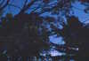 EK_0005.JPG