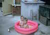 EK_0009.JPG