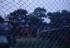 EK_0004.JPG