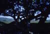 EK_0033.JPG