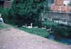 EK_0010.JPG