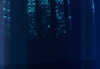 EK_0015a.JPG