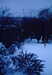 1979-01-00:Pinewood Ave Snow
