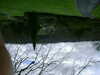 19980101043746-DSCF0028.JPG
