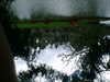 19980101045445-DSCF0031.JPG