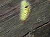 2007-09-29:
