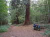 2007-10-15:
