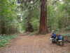 20071015144712-Picture_all_Jan_08_010.jpg