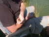 20090713163658-g_and_s_june_09_014.jpg