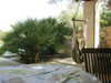 2011-01-01:
