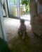 2013-05-11:Children Spinney
