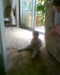 20130511115000-Photo0049.jpg