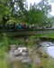 2013-06-20:Butterfly show

