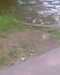 20130620143757-Photo0065_001.jpg
