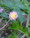 20130620150132-Photo0070.jpg