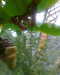 20130620150221-Photo0071.jpg