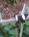20130620150259-Photo0072.jpg