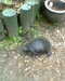 20130620150907-Photo0073.jpg