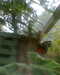 20130620151318-Photo0074.jpg