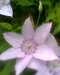 20130620151414-Photo0075.jpg