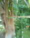 20130620151826-Photo0078.jpg