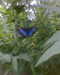 20130620152930-Photo0082.jpg