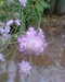 20130620153547-Photo0084.jpg