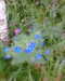 20130622142216-Photo0087.jpg