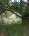 20130622142604-Photo0088.jpg