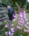 20130622150303-Photo0093.jpg