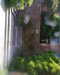 20130706151232-Photo0103.jpg