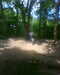2013-07-07:In The Woods
