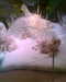 2013-12-04:Polar Bears

