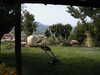 00000000000000-P1010017.JPG