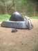 2017-05-16:Rendlesham Forest
